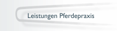 Pferdepraxis
