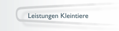 Leistungen